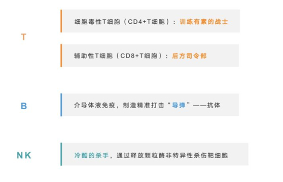 2021世界強化免疫日 | 紐盾帶你認(rèn)識免疫系統(tǒng)的構(gòu)成