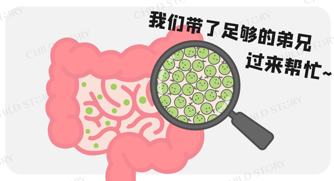 腸道營養(yǎng)秋日元?dú)庋b備：母嬰門店?duì)幭嗌霞艿膶氊惥蛻?yīng)該這樣